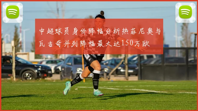中超球员身价降幅分析热菲尼奥与瓦吉奇并列降幅最大达150万欧