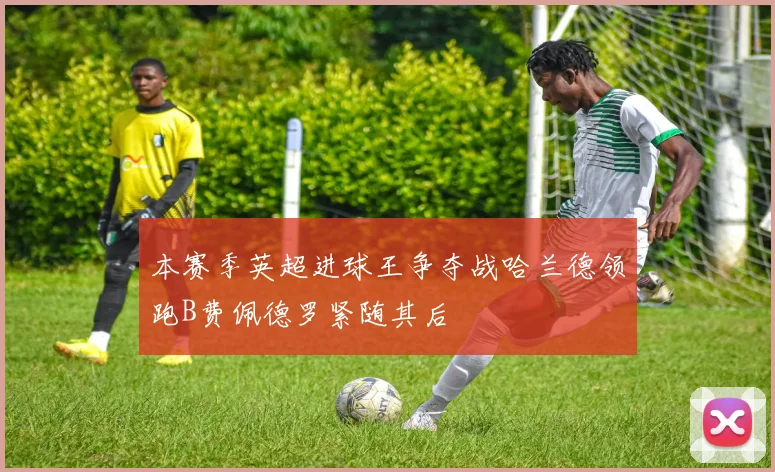 本赛季英超进球王争夺战哈兰德领跑B费佩德罗紧随其后